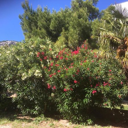 Sabina Apartments Omiš Eksteriør bilde